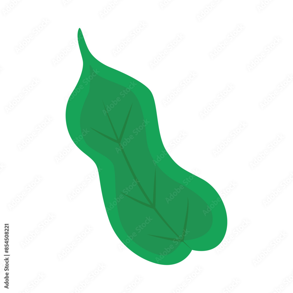 Green leaves icon in cartoon style isolated on white Green leaves icon in cartoon style isolated on white
