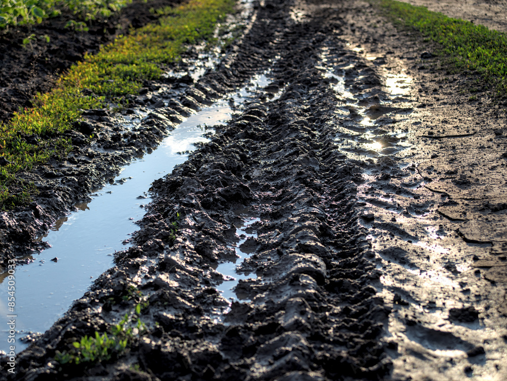 A muddy puddle on a dirt road