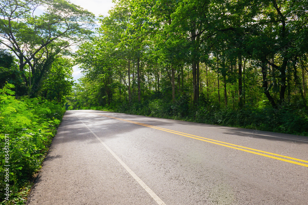 Obraz premium road with trees on both sides and a yellow line