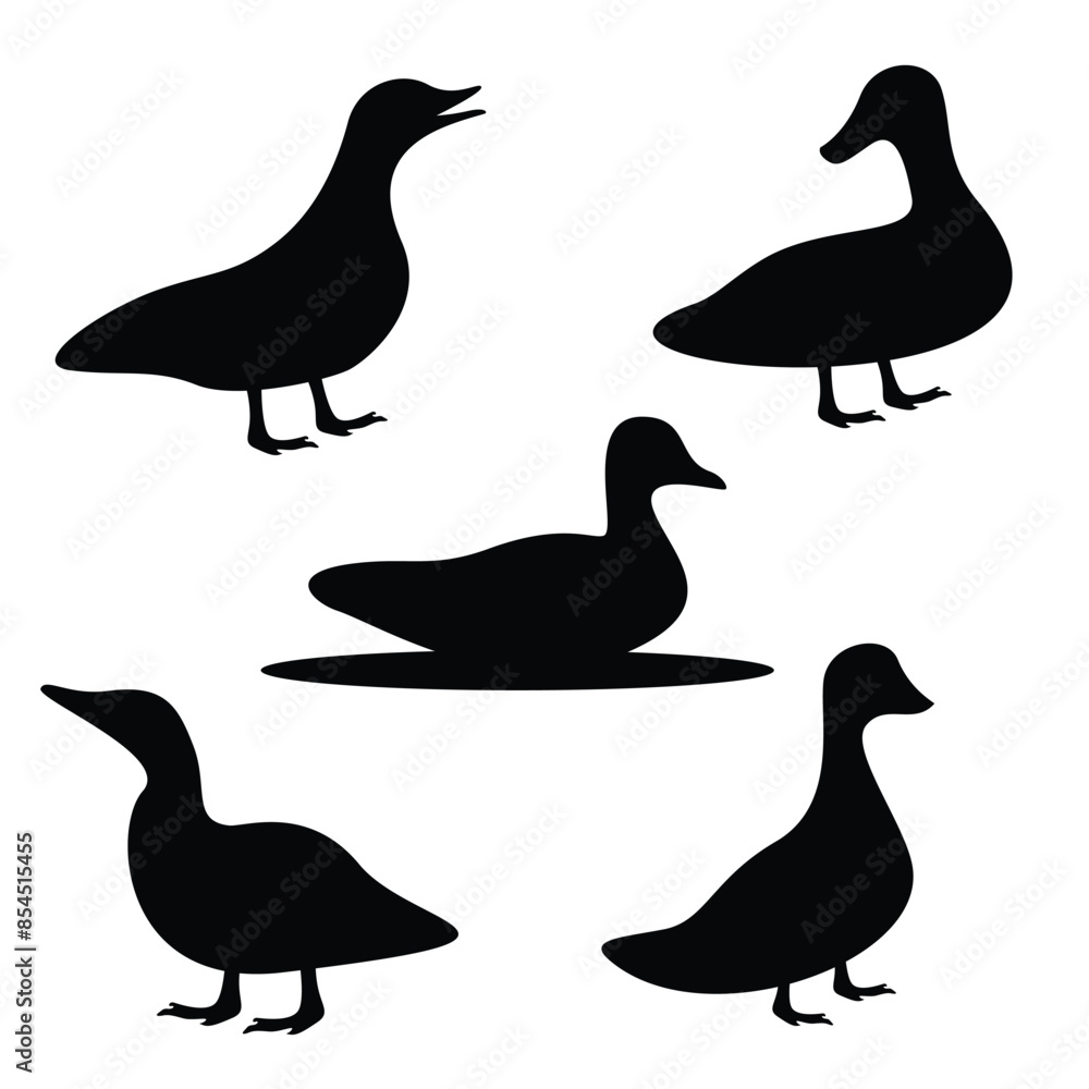 Fototapeta premium Set of duck silhouette on white background
