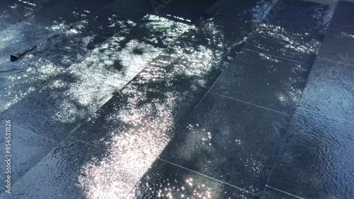 水辺の母と子