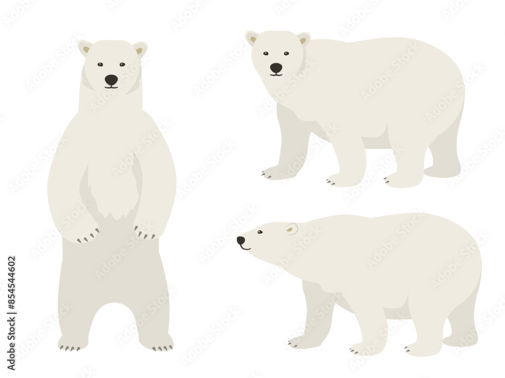 シロクマのベクターイラストセット シロクマのベクターイラストセット