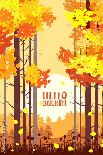Poster Hello Autumn forest, park landscape, sunset