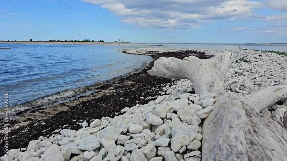 Sunny day on the shore of the Baltic Sea of the Swedish island of Gotland, blue sky, murmur of the sea, pebble beach with white stones, bird sanctuary, island in the sea, white tree trunk Sunny day on the shore of the Baltic Sea of the Swedish island of Gotland, blue sky, murmur of the sea, pebble beach with white stones, bird sanctuary, island in the sea, white tree trunk