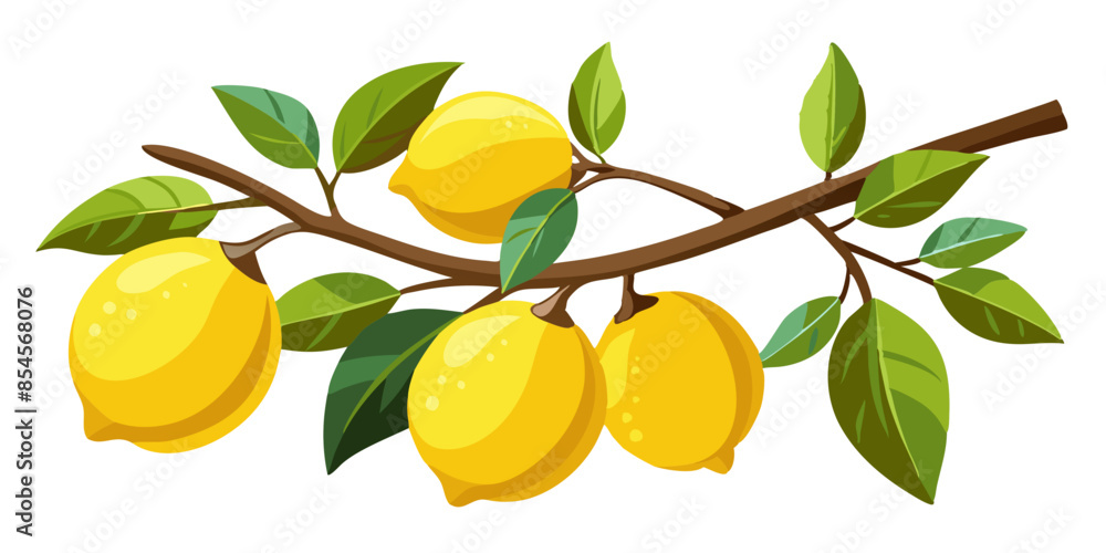 lemon branch lemon branch