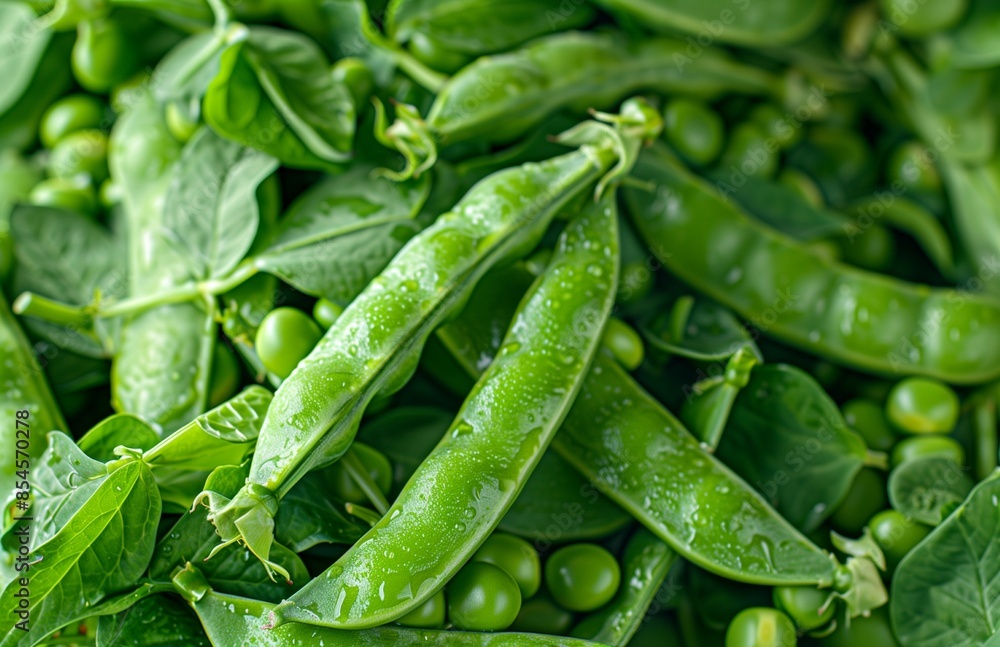 A pile of fresh green peas, neatly arranged, perfect for cooking or as a vegetable side dish