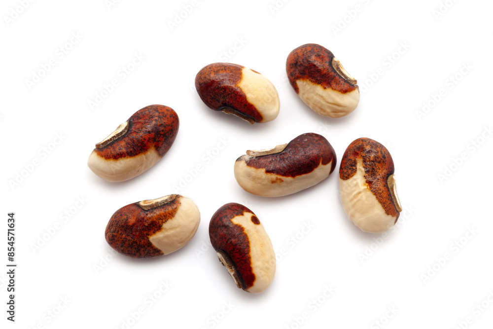 Obraz premium Close-up of Dried Organic Beans or Black Eyed Peas (Vigna unguiculata) seeds, isolated on a white background. Top view.