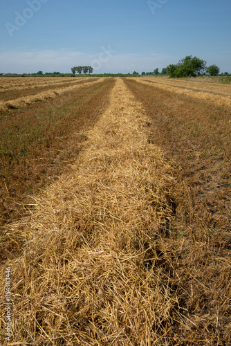 Obraz na płótnie Po Valley w salonie
