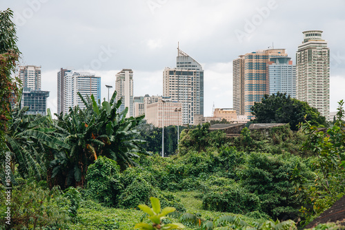 Vue panoramique de Manille, capitale des Philippines avec de la végétation au premier plan.
