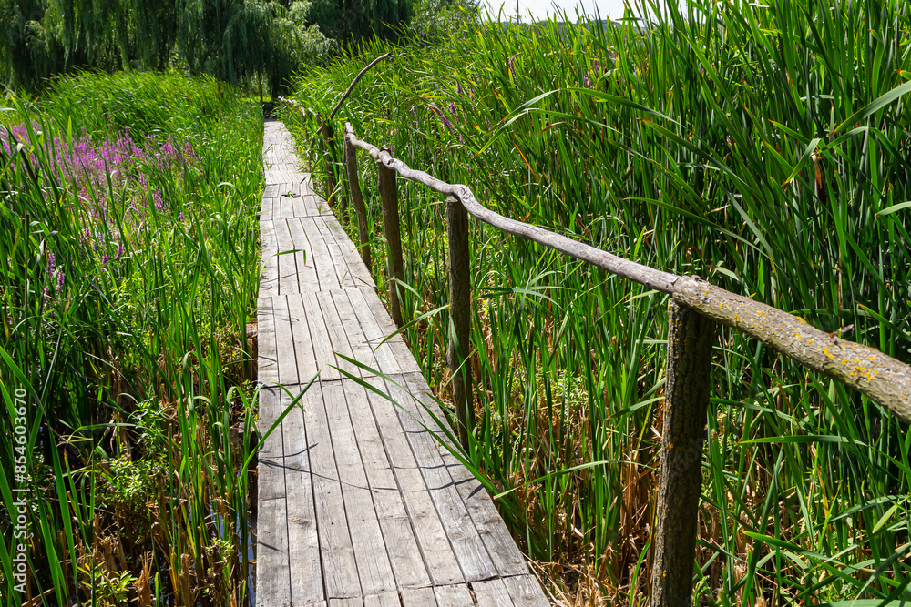 Fototapeta premium Suspension bridge, walkway to the adventurous, cross to the other side