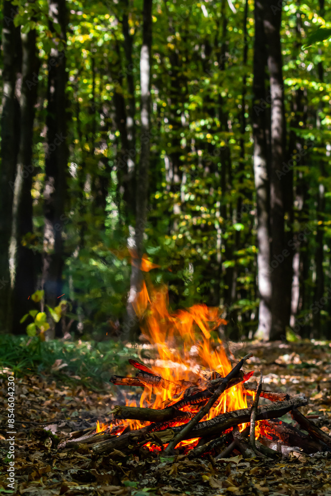 Flame of charcoal fire. Hearth for cooking and heating. Danger in forest Flame of charcoal fire. Hearth for cooking and heating. Danger in forest
