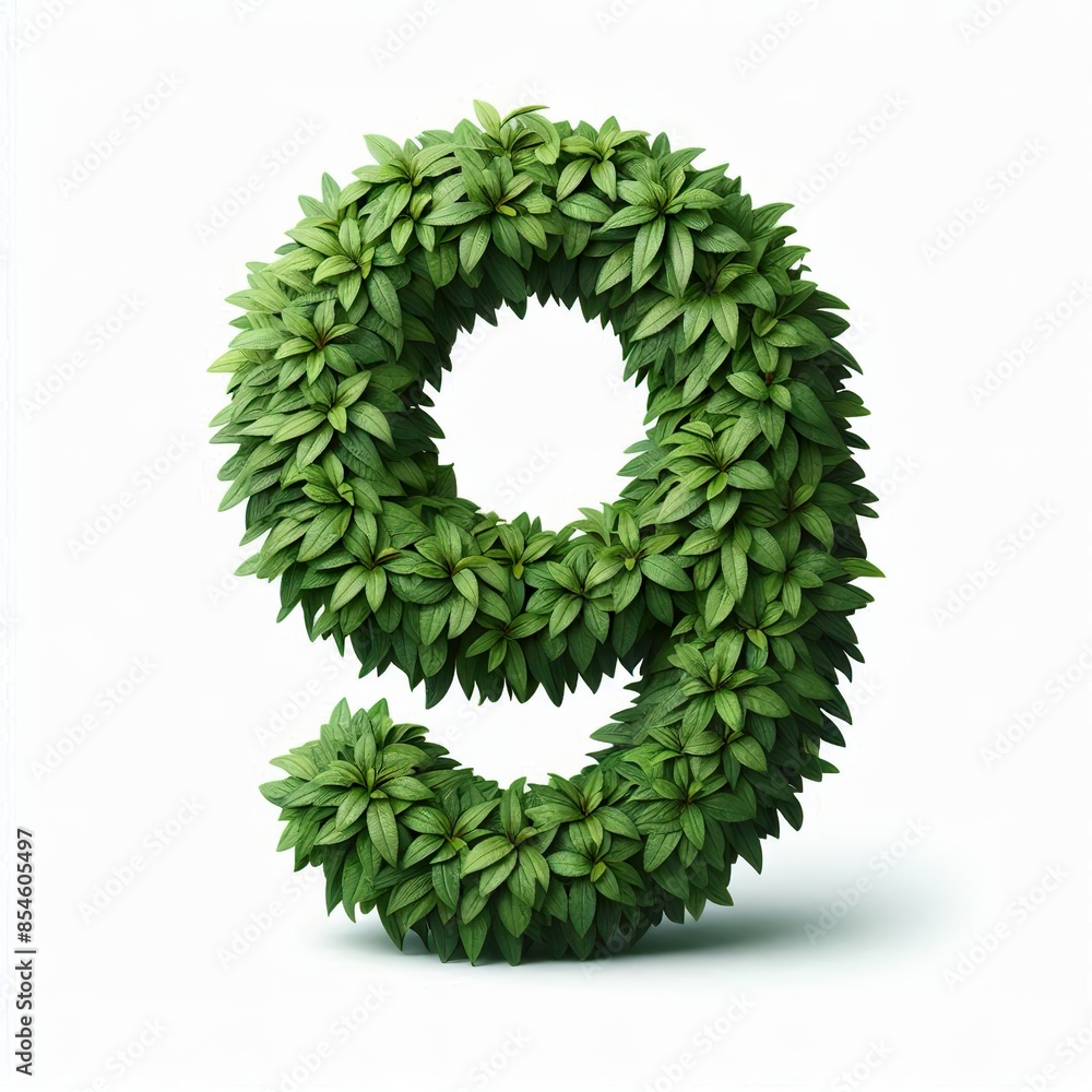 Number 9 made out of green leaves, white background Number 9 made out of green leaves, white background