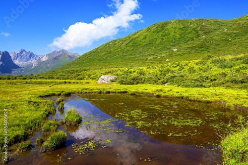 Qinghai Nianbaoyuze Scenic Area © View Stock