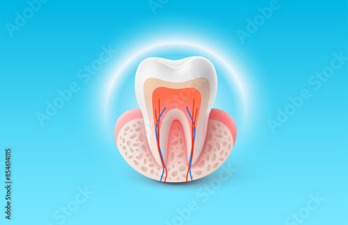 dental treatment, nerve ending, tooth in section. Vector illustration