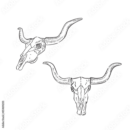Two line drawn skulls, taking inspiration from the wild west. Bundle of two skull illustrations, drawn by hand and recreated digitally to create a vectorised sketch. 