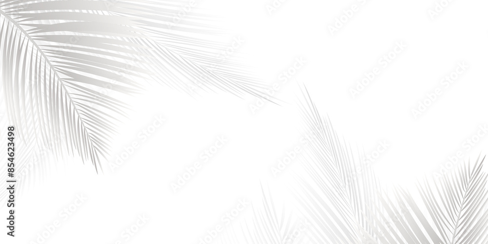 Obraz premium Soft shadows of palm leaves or coconut leaves and blurred. Shadows of tropical trees. copy space transparent background with png