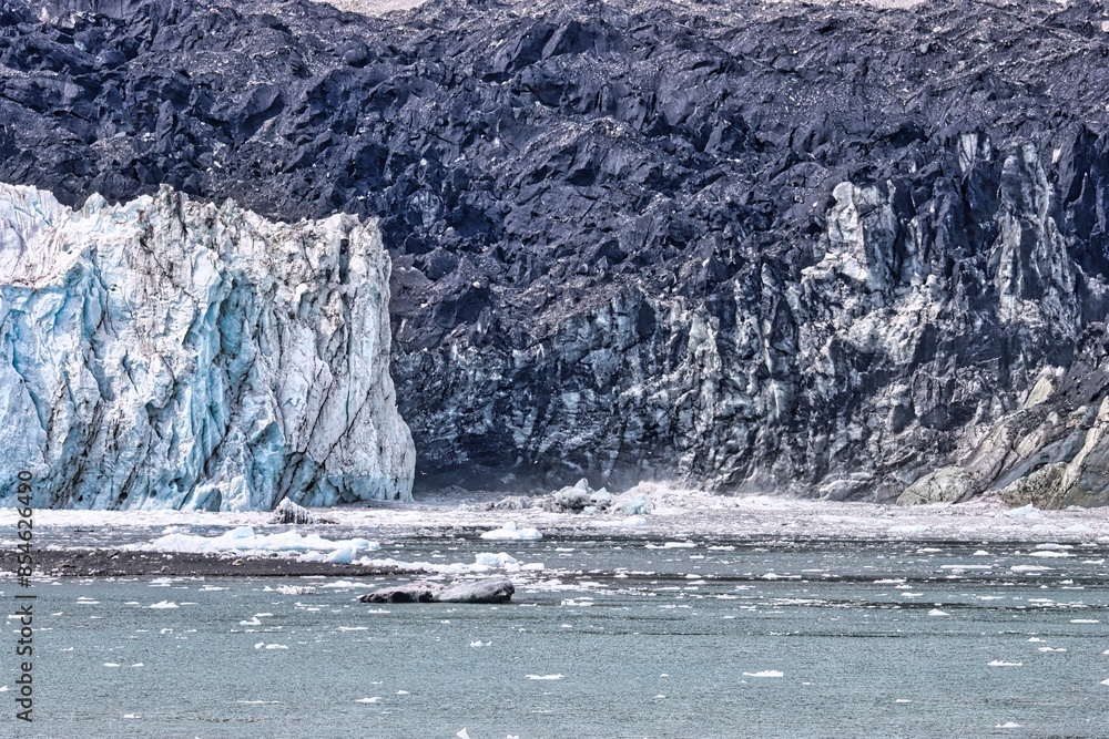 Glacier Bay, Alaska Glacier Bay, Alaska