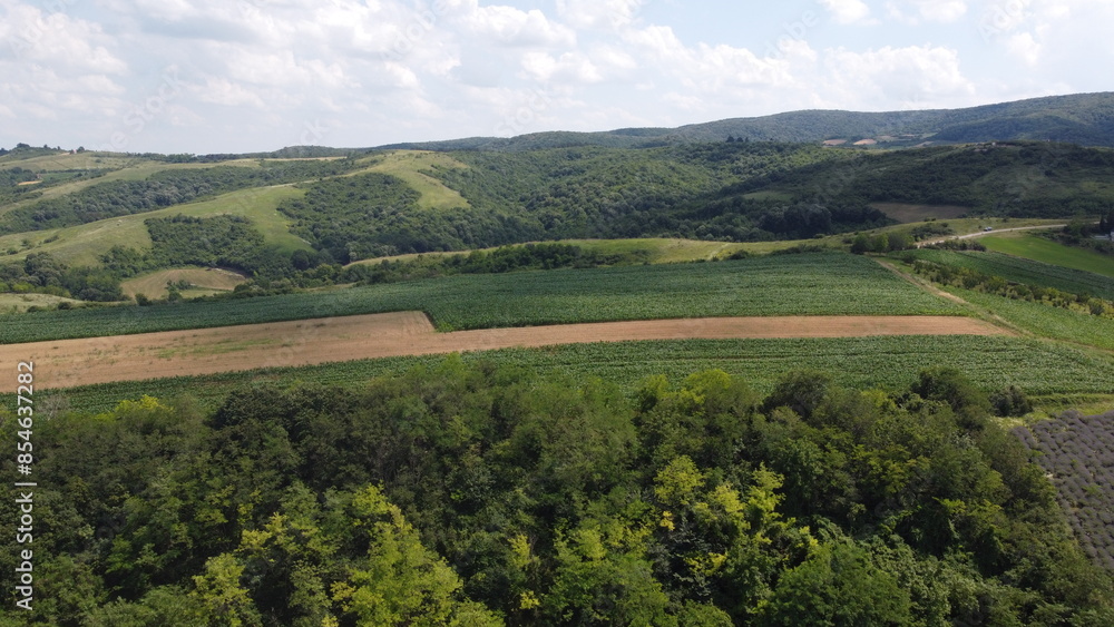 Obraz premium Wheat and corn fields by the mountain.