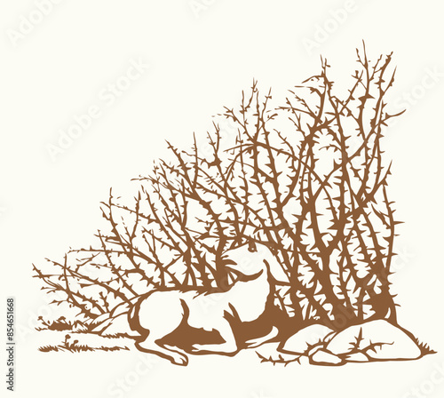 Vector drawing. The sheep got lost in the thorn bushes