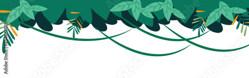 Tropical trees with lush leaves and lianas growing on them stand alone on a white background.