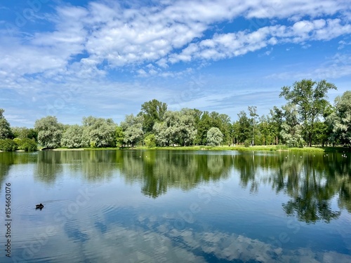 summer lake in the park, blue sky with white clouds and green trees reflection on the lake surface