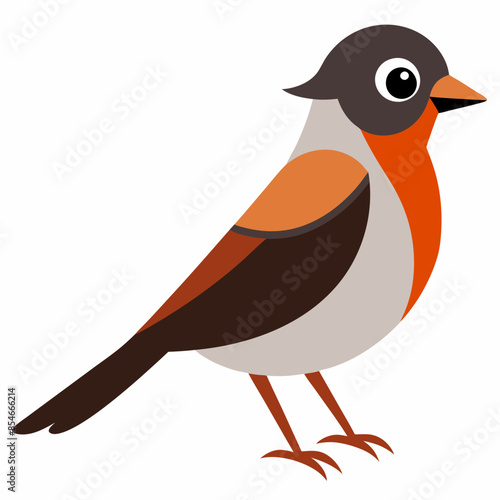 Vector illustration of bird