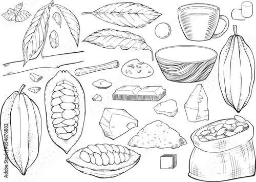 Set of vector cocoa beans and cocoa butter and cocoa leaf. Set of cocoa products.