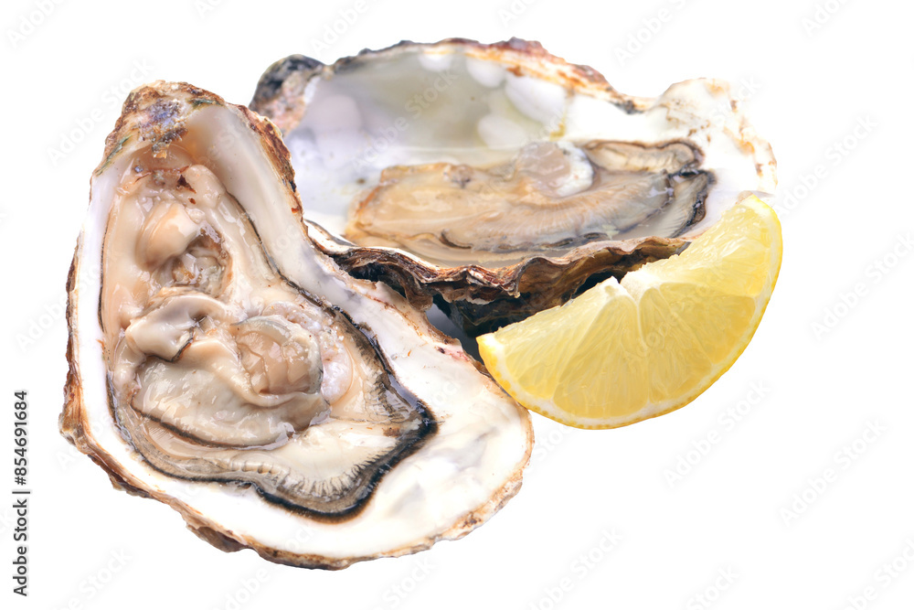 Oysters and lemon isolated Oysters and lemon isolated