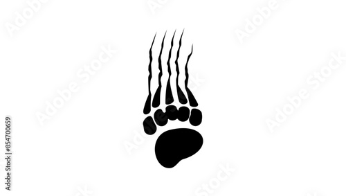 Bear claws print, black isolated silhouette