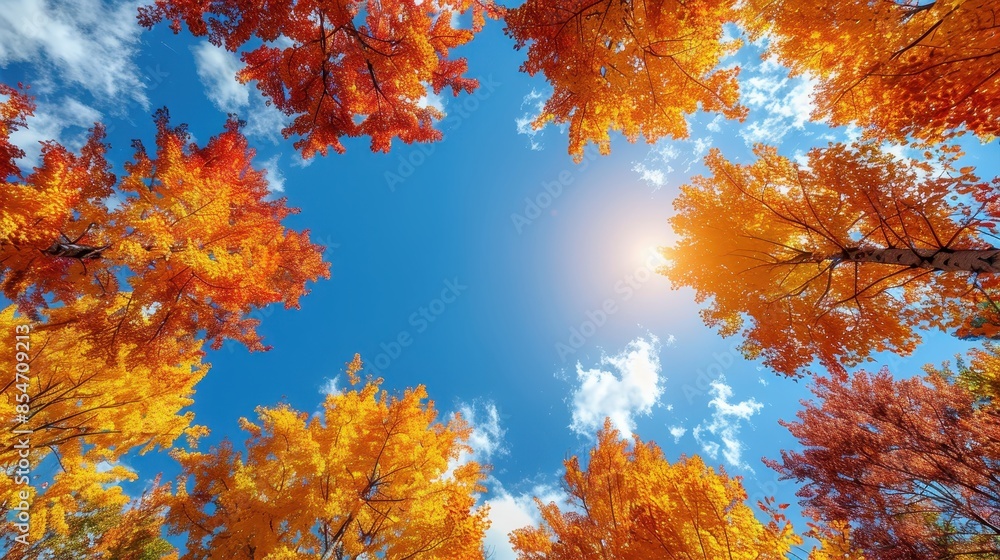 Colorful autumn trees with vibrant foliage against a clear blue sky and bright sun, creating a stunning seasonal landscape. Colorful autumn trees with vibrant foliage against a clear blue sky and bright sun, creating a stunning seasonal landscape.