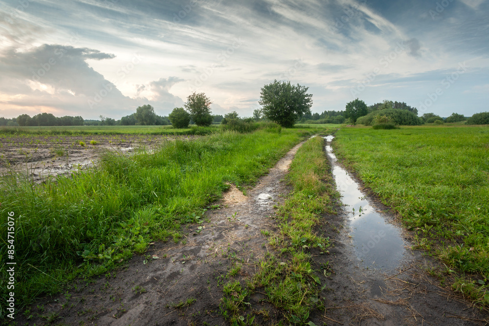 Naklejka premium Puddle on dirt road and countryside after rain