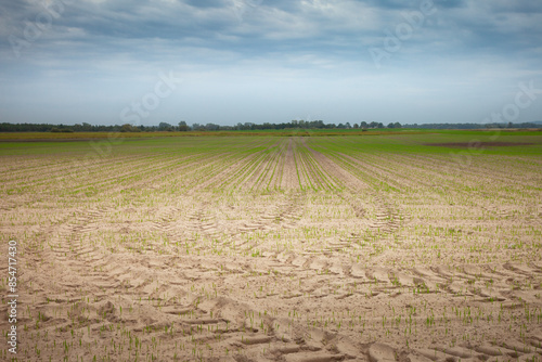 Wheel tracks on a freshly sown field and a cloudy sky