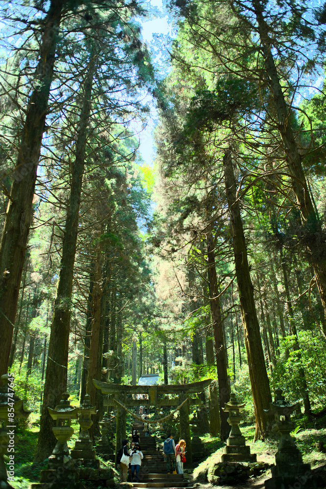 Fototapeta premium 上色熊野座神社