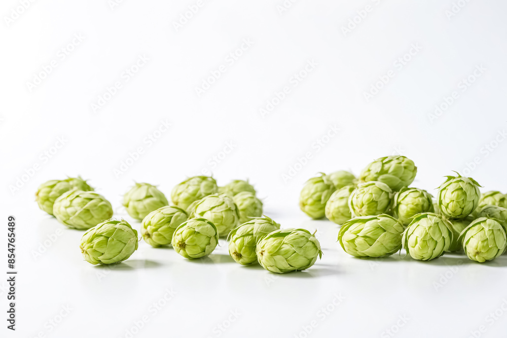 Fototapeta premium Fresh Green Hops on White Background