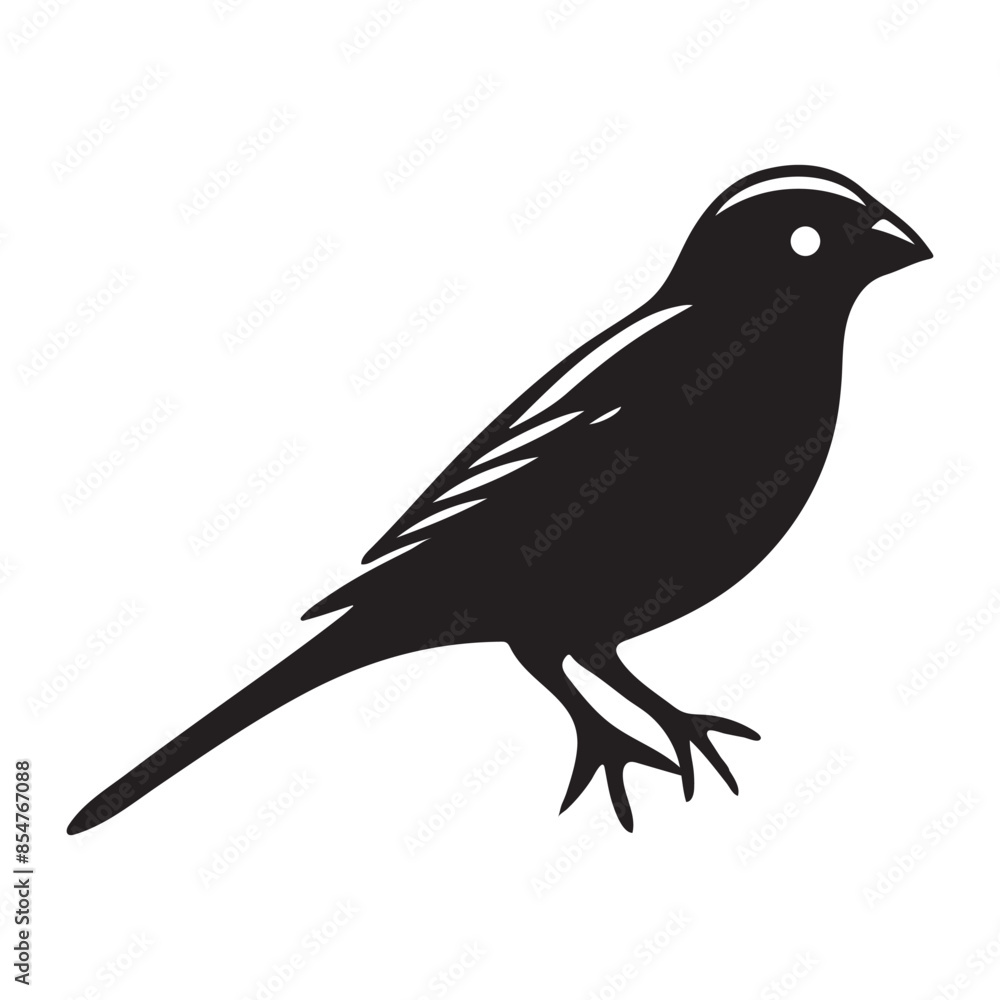 Obraz premium bird on a branch silhouette vector