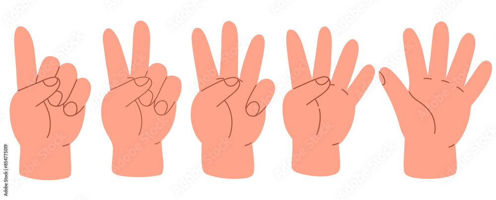Fototapeta premium Counting with fingers. Hand gesturing, arm showing one, two, three, four and five numbers, digits. Countdown, score, elementary math learning. Flat illustration isolated on white background
