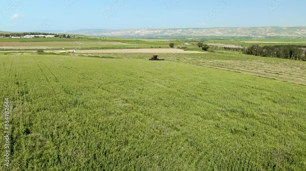 Tractor Harvesting Crops with Storks in a Scenic Farmland Tractor Harvesting Crops with Storks in a Scenic Farmland