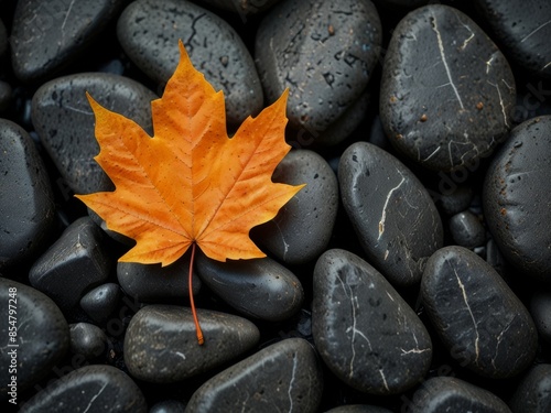 A single orange fall leaf rests upon a bed of smooth gray river stones