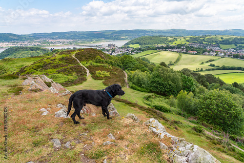 walking around Conwy in North Wales photo