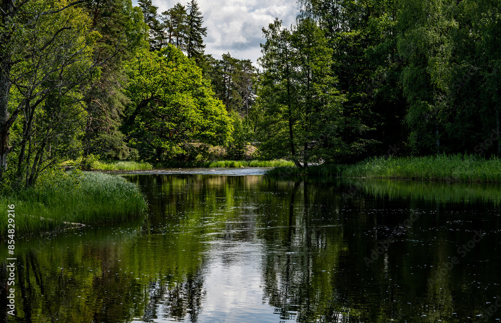 River area in summer. Scenic view of a salomon river landscape in Farnebofjarden national park in north of Sweden. River area in summer. Scenic view of a salomon river landscape in Farnebofjarden national park in north of Sweden.