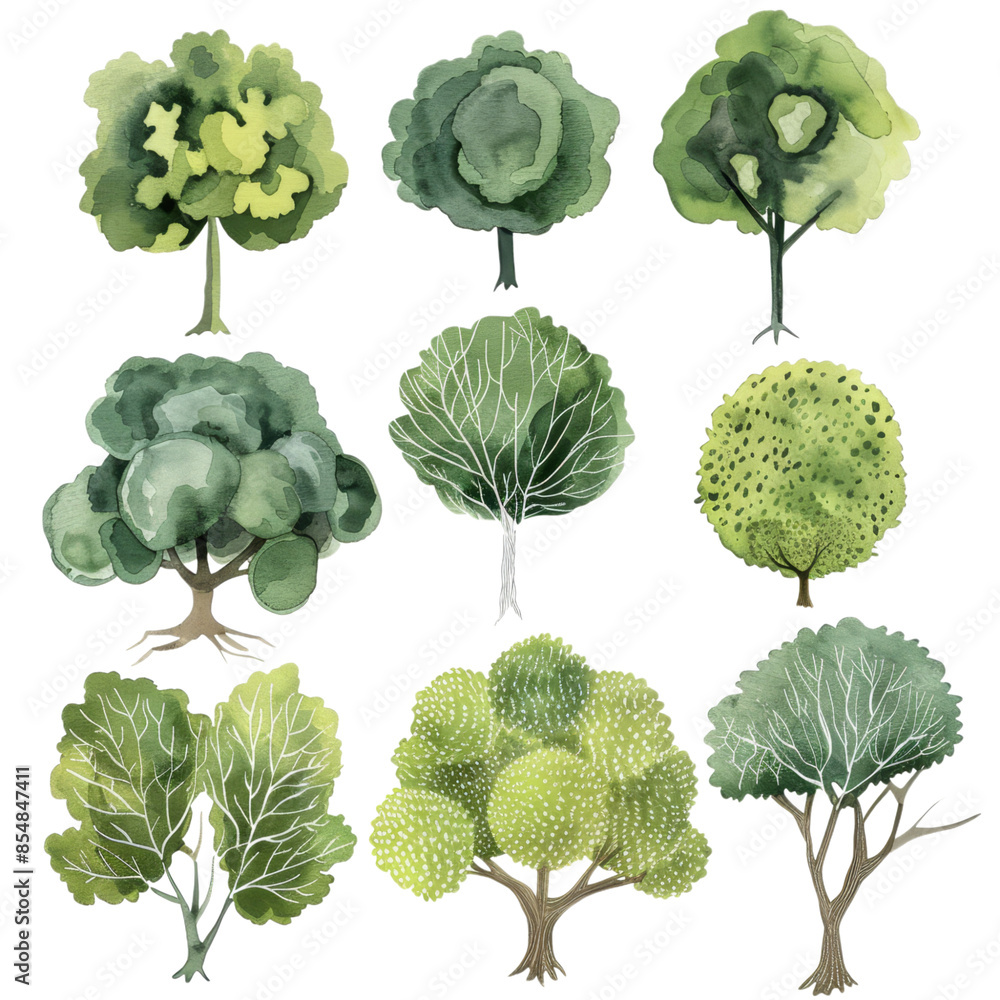 Collection of Watercolor Trees Isolated on Transparent Background, Ideal for Landscaping and Environmental Projects Collection of Watercolor Trees Isolated on Transparent Background, Ideal for Landscaping and Environmental Projects