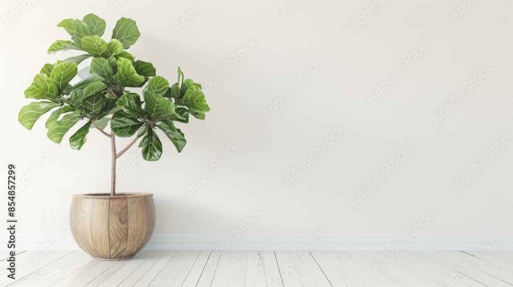 3D plant in wooden pot on white floor and wall background mockup with copy space for design template 3D plant in wooden pot on white floor and wall background mockup with copy space for design template