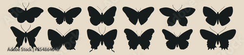 Set of shadows of butterflies of different shapes.	