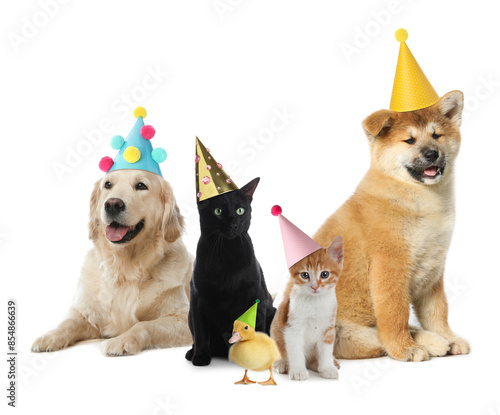 Fototapeta Naklejka Na Ścianę i Meble -  Many different animals with party hats on white background