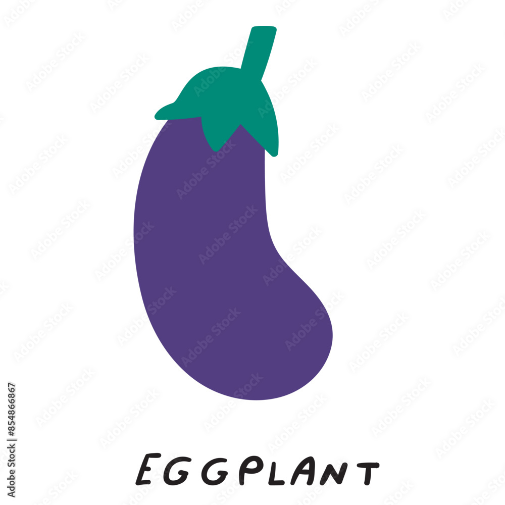 Eggplant. Vegetable. Vector design. Hand drawn illustration on white background. Eggplant. Vegetable. Vector design. Hand drawn illustration on white background.