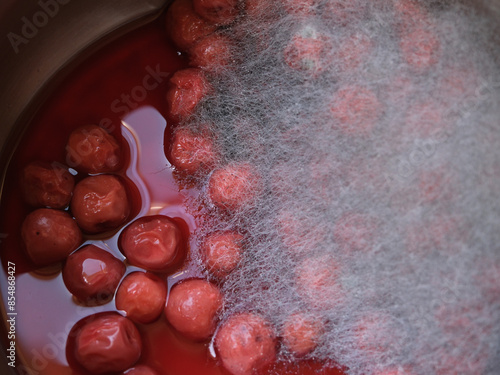 Photography Mold food and drink. Moldy sour cherry compote.