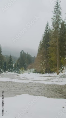 Wallpaper Mural Fantastic view of snow forrest during winter Torontodigital.ca
