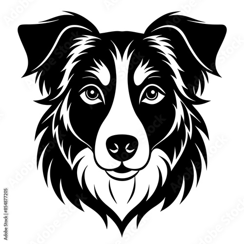 The head of a Shepherd dog line art, in black and white vector illustration. photo