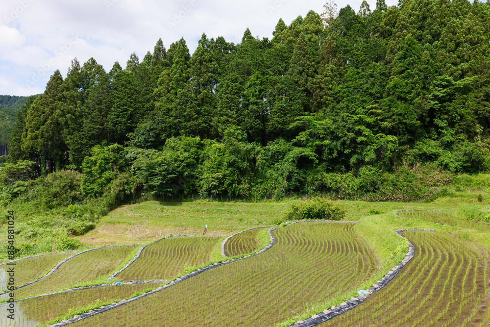 Agricultural scene in a terraced rice field. Rural villages and rice paddies in Asia. Agricultural scene in a terraced rice field. Rural villages and rice paddies in Asia.