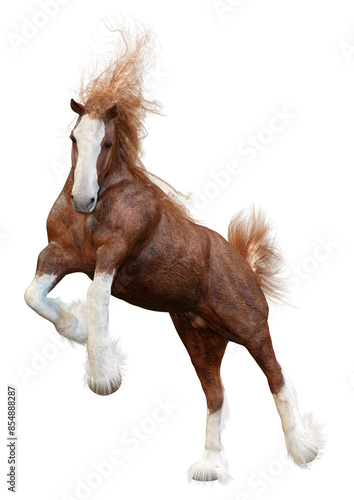 Photography 3D Rendering Clydesdale Horse on White